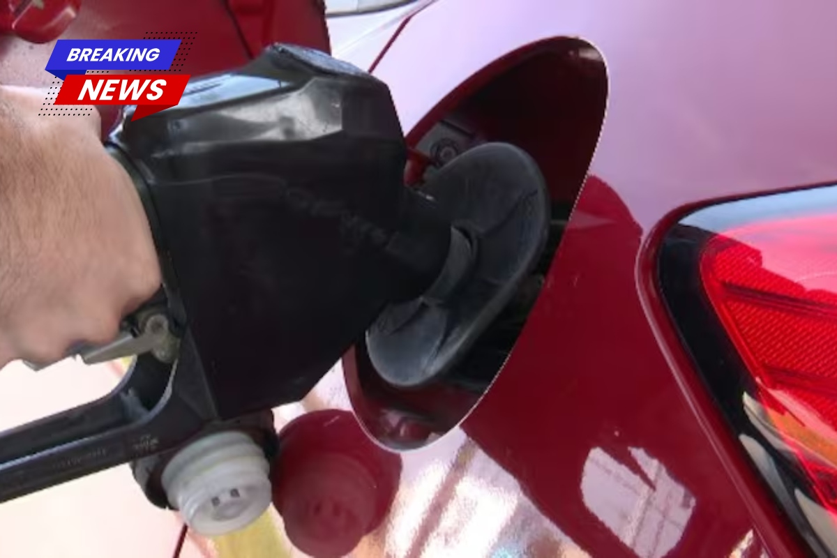 According to AAA, petrol prices in St. Bernard Parish are among the cheapest in Louisiana