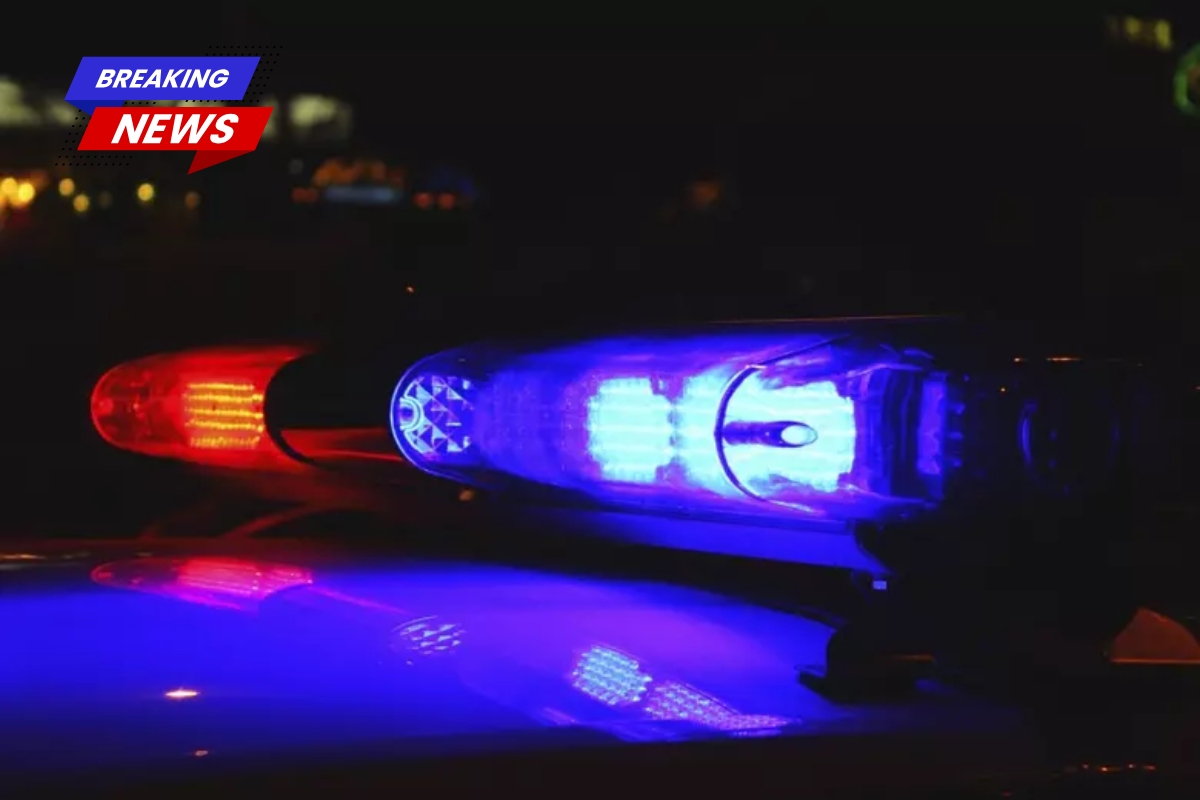 An Indiana man was arrested on drug charges after allegedly dancing in the middle of the road with meth and a rare turtle