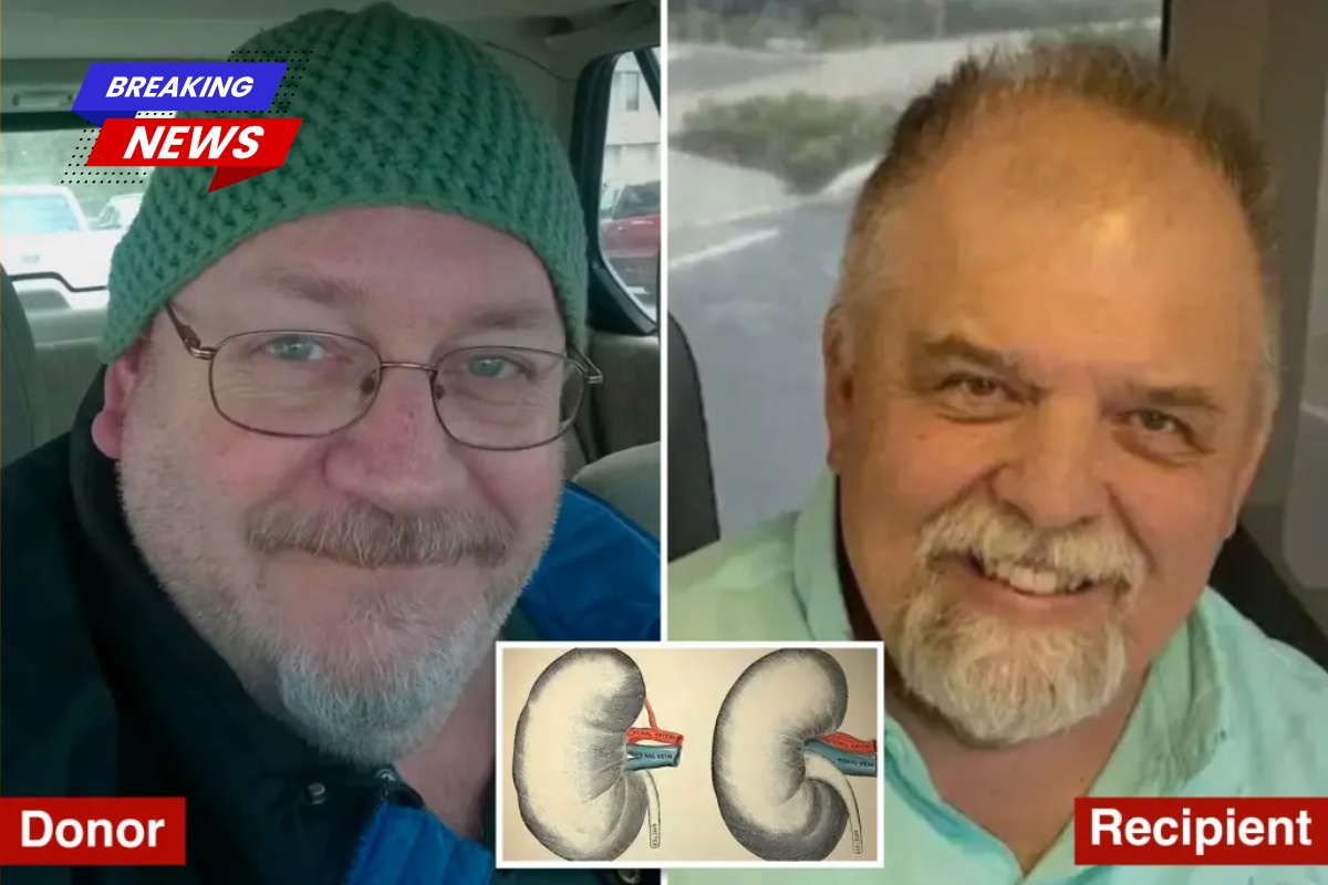 An unwitting organ donor contracted rabies, resulting in the death of one kidney recipient and putting others at risk