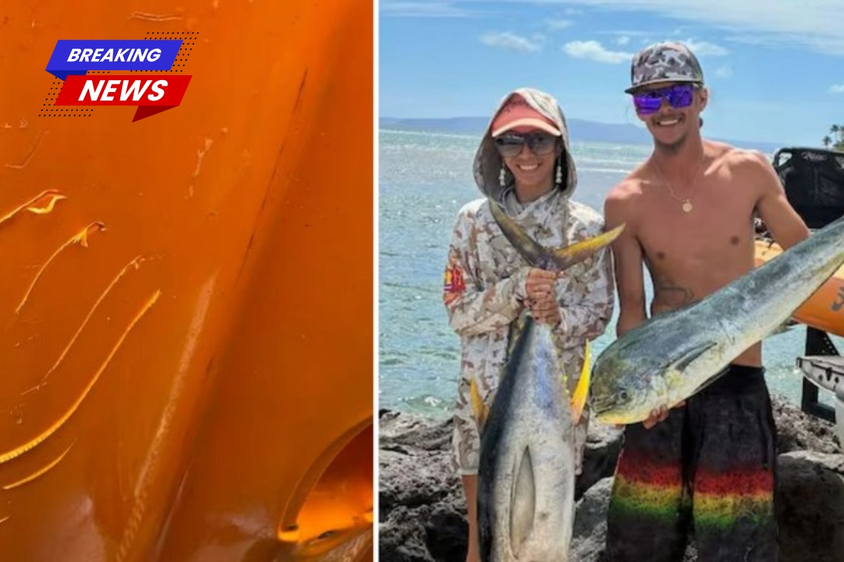 Couple describes encounter with 'one of the most frightening' sharks