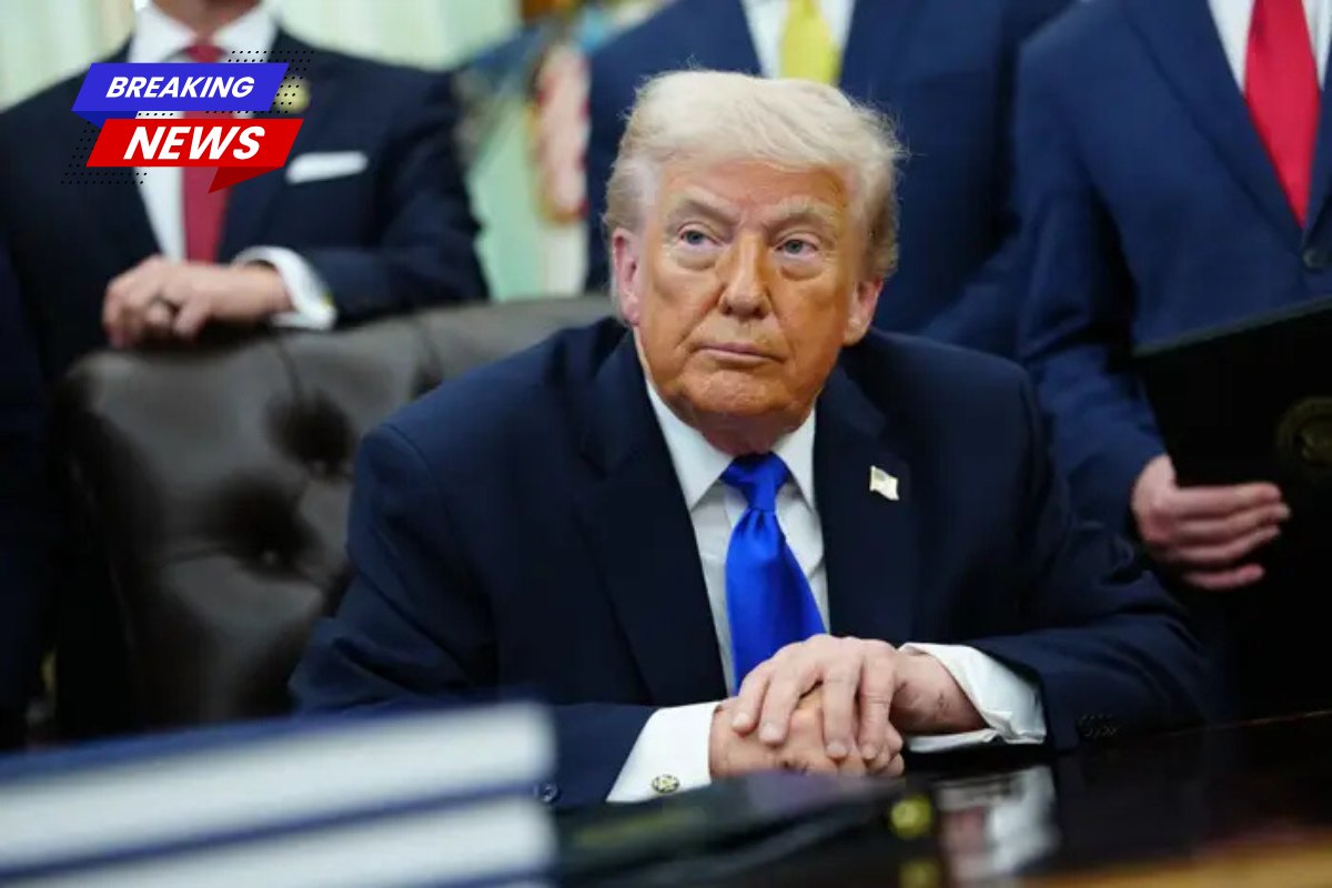 Donald Trump's scheme to transfer millions of student loan accounts to the Treasury is in the works, officials confirm