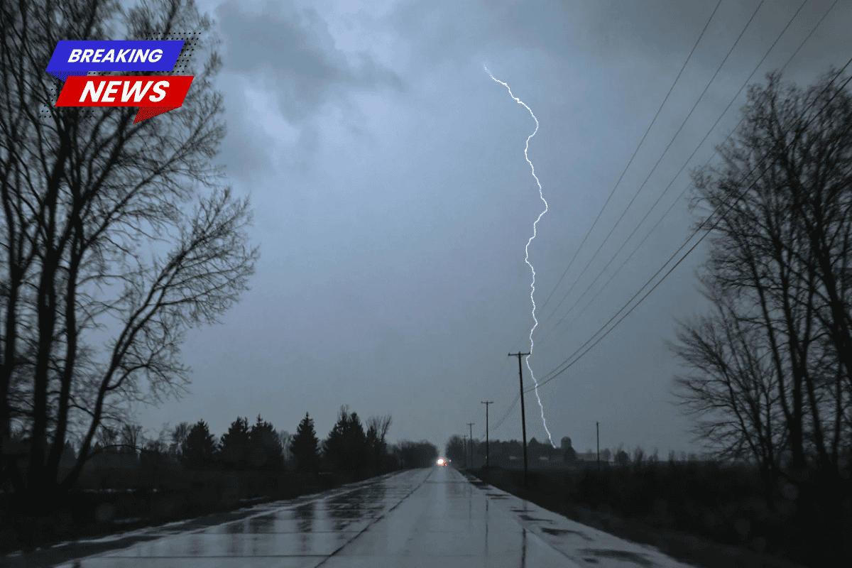 FIRST ALERT Thunderstorms are likely this afternoon and evening