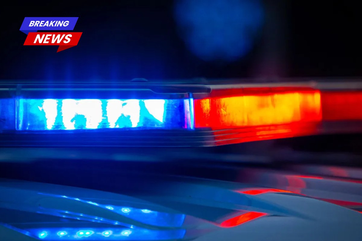 In New Orleans, a woman is accused of striking and killing a man with her vehicle