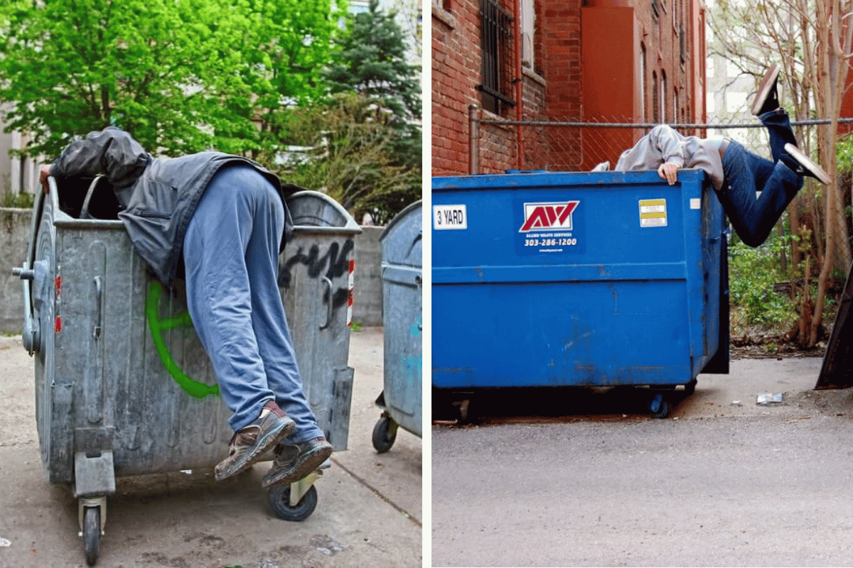 Is It Illegal to Dumpster Dive in Illinois Here’s What the Law Says