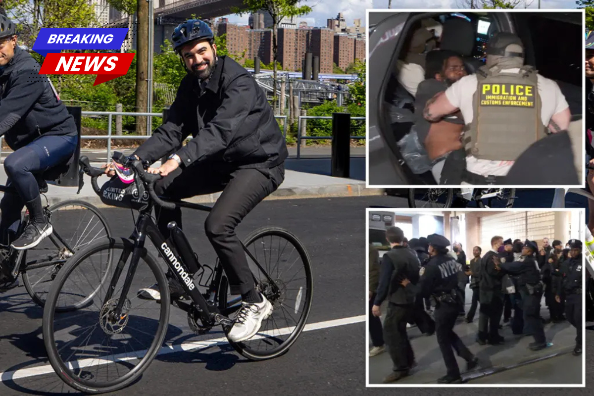 Mamdani slams ICE as 'cruel and inhumane' following an anti-ICE mob's violent clash with cops at a NYC hospital
