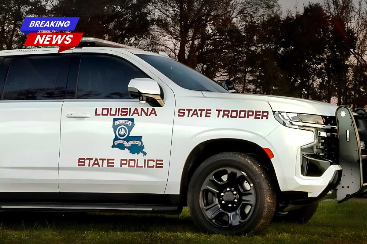 Midday chase chaos as driver abandons car in New Orleans East