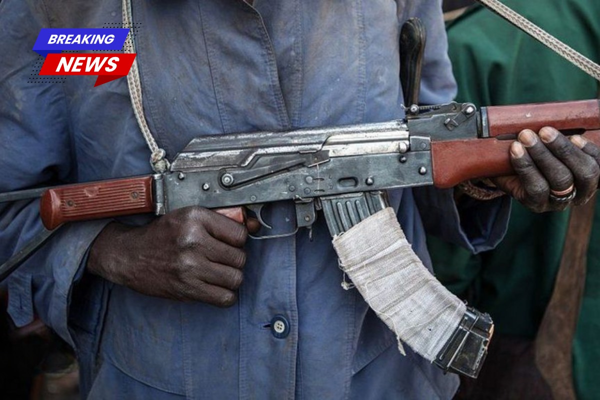 Over 50 kids aged 2 to 5 allegedly kidnapped from Nigerian schools by violent Islamic extremists
