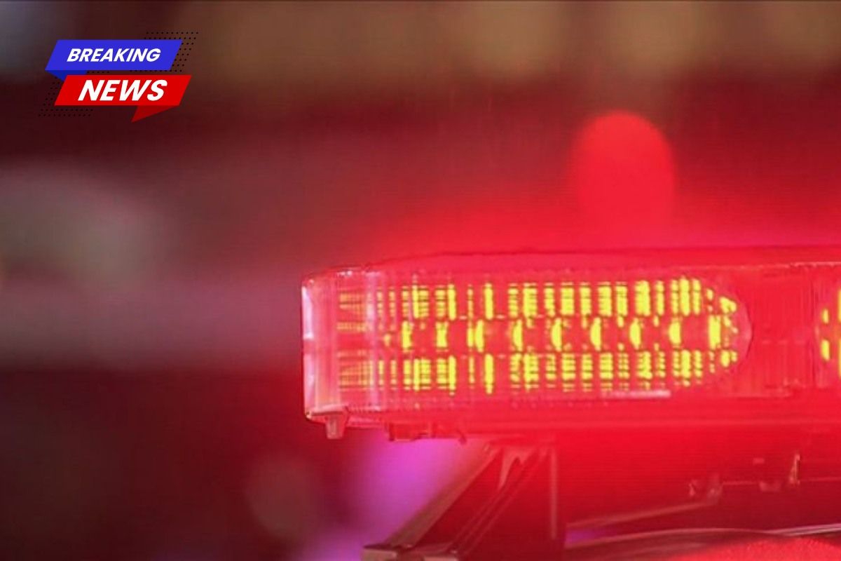 Ponchatoula woman detained for allegedly stabbing a man through the bedroom window and slashing his tires