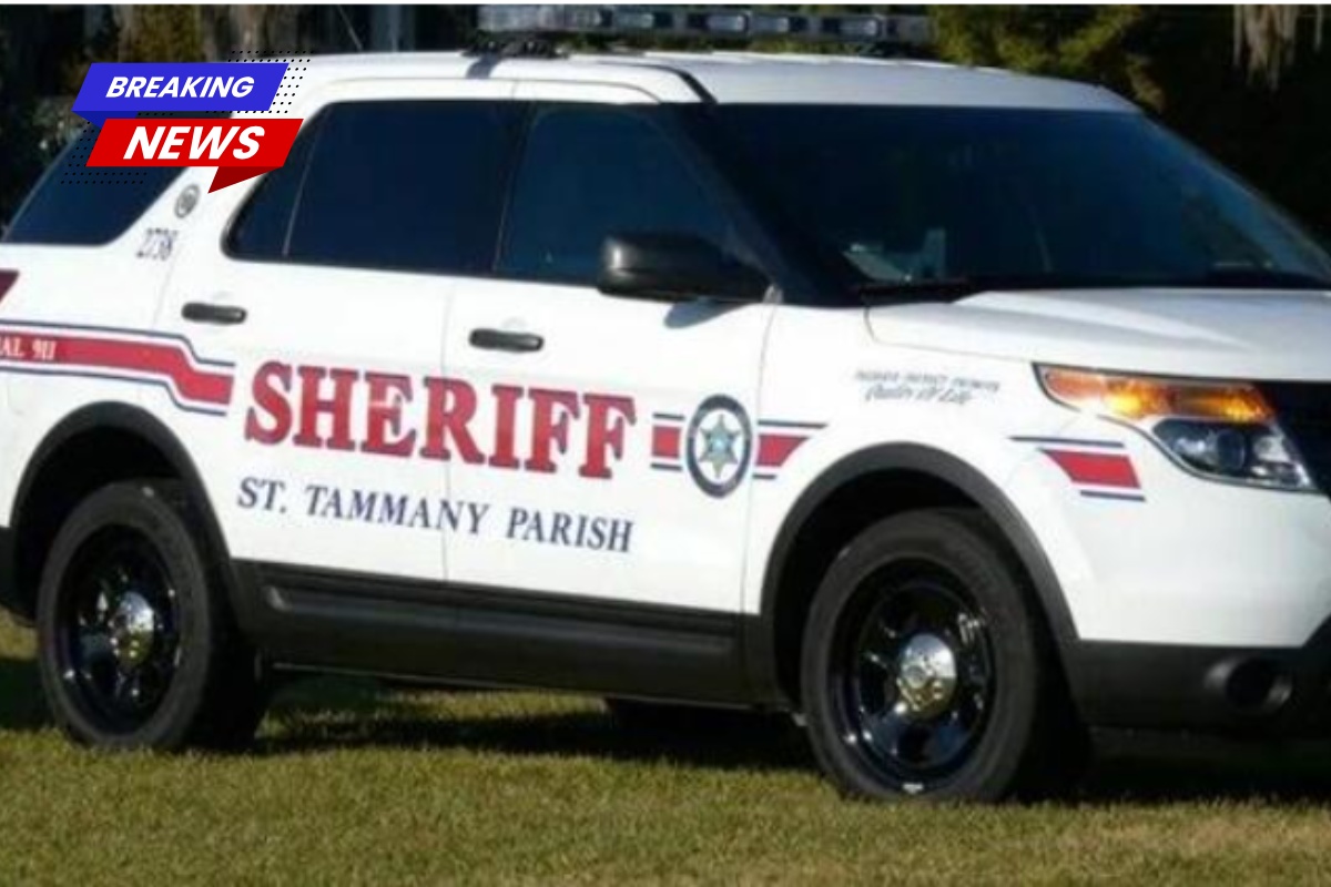 Raucous Northshore home party leads to fighting and arrests