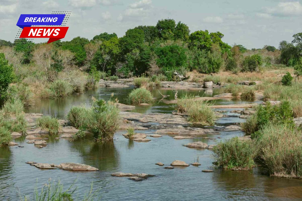 Retired couple on vacation were discovered stabbed and their bodies thrown into crocodile-infested river after possible encounter with poachers