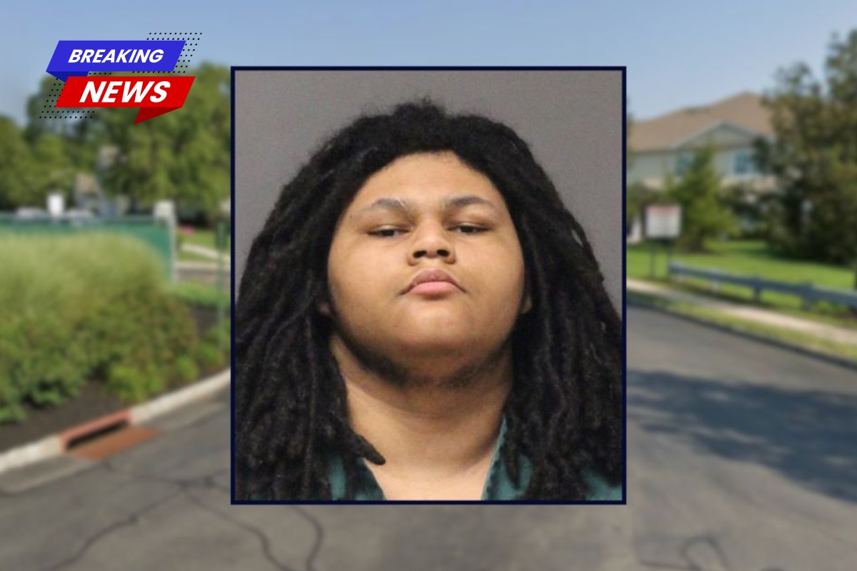 'Somebody was murdered' In a chilling 911 call, a teenager casually admits to killing his grandmother, who was found with knives 'protruding' from her face and neck