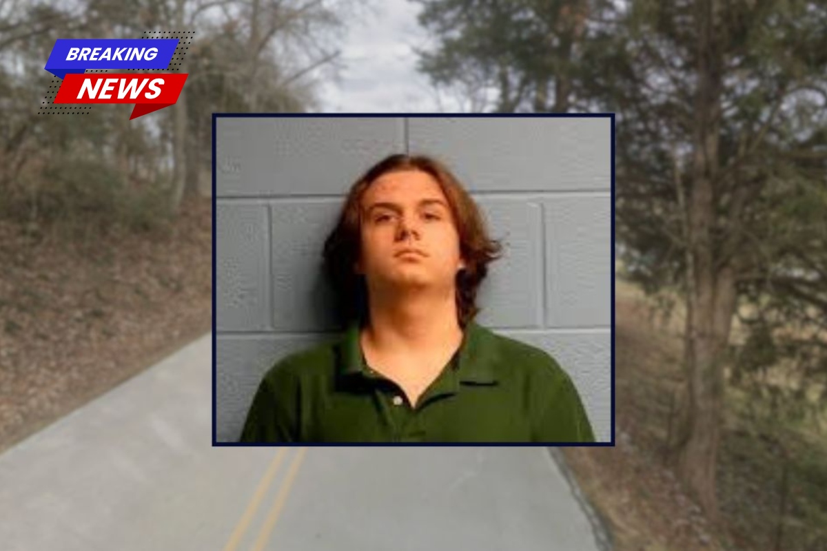 Teen's 'escape plan' included pizza and Walmart headphones after killing his seven-year-old brother and grandmother with a hammer