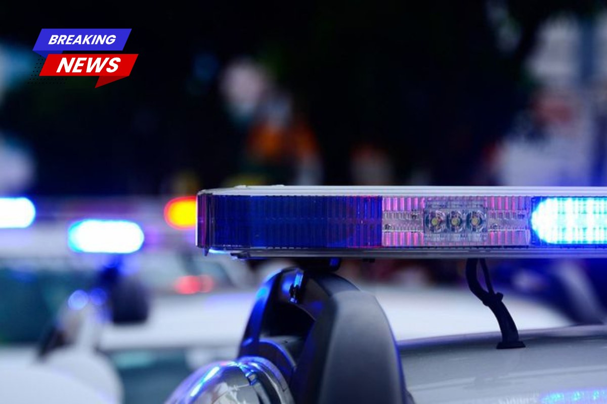 The Baton Rouge Constable's Office will conduct city court warrant pick-ups on Monday