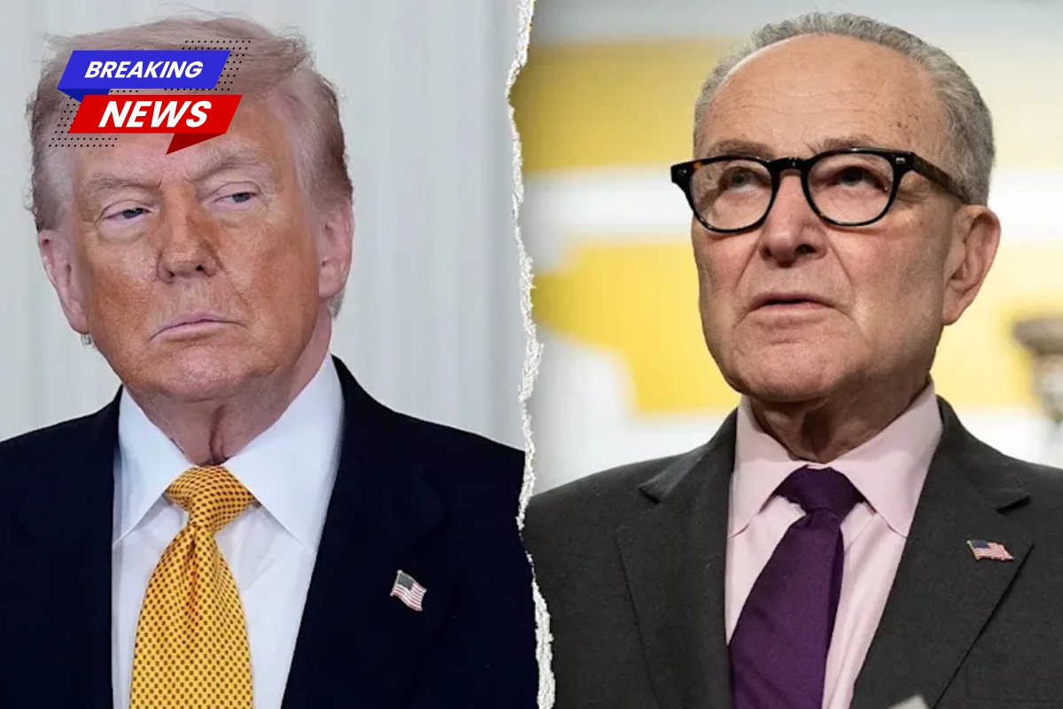 Trump accuses Schumer of attempting to 'interfere in our elections' with their latest strategy