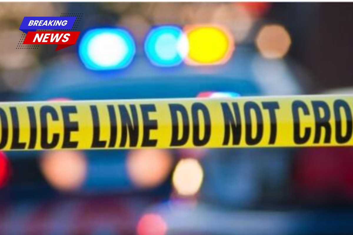 What are you going to do, b--ch' Pizza delivery man allegedly hits customer with car after not receiving a tip