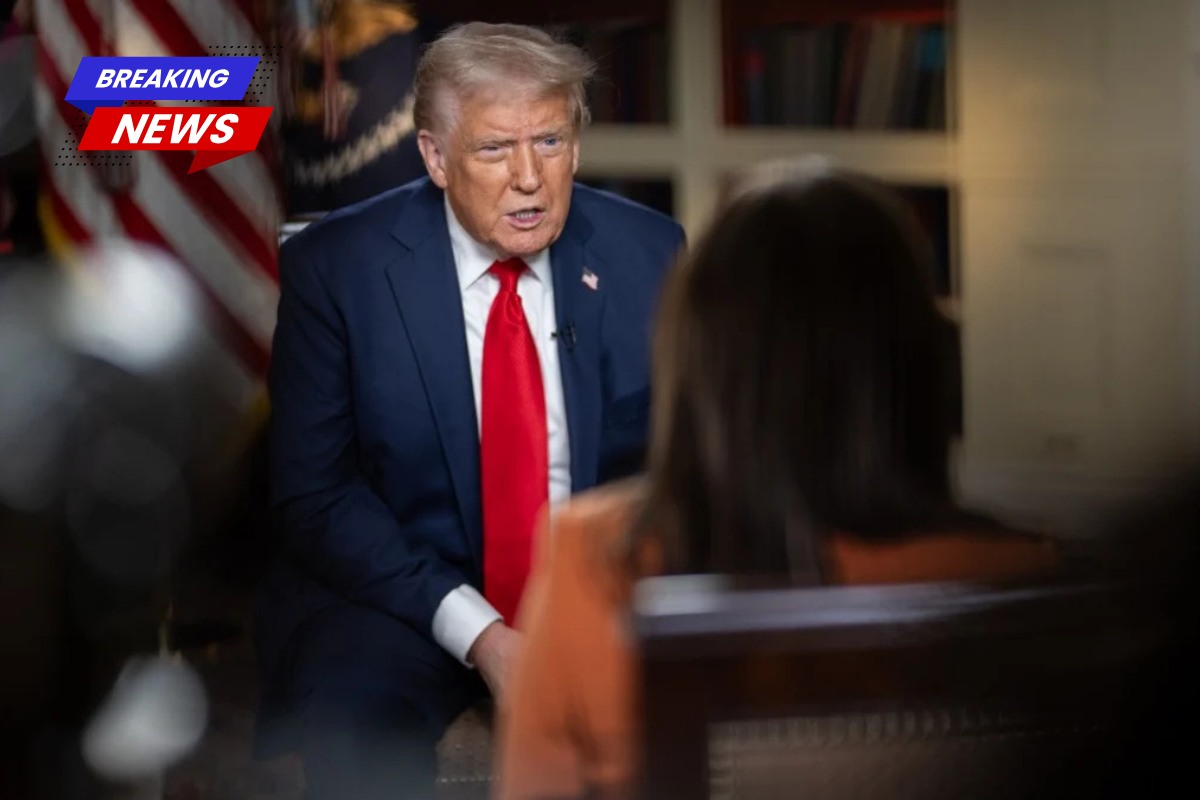 'You appear weak, stupid, and ineffective' Donald Trump criticised Fox News for their coverage of Bill Maher's Newsom interview