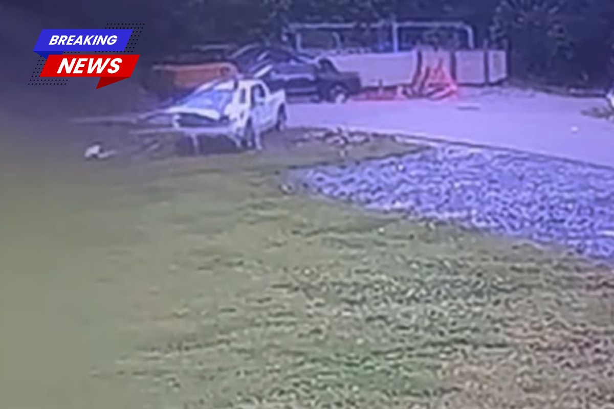 A Denham Springs business is looking for the truck that damaged their signA Denham Springs business is looking for the truck that damaged their sign