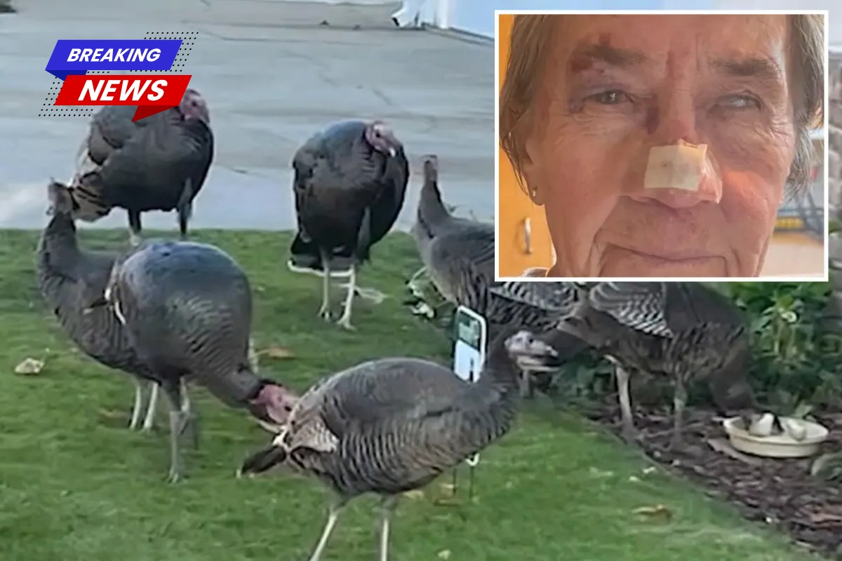 A group of wild turkeys assaulted a California woman, leaving her with terrible injuries