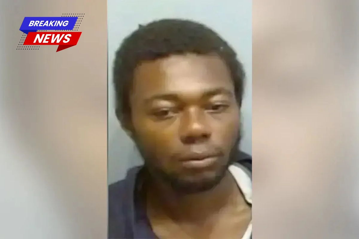 A man stood over a 66-year-old great-grandmother who was bleeding after he unprovokedly stabbed her 18 to 20 times on a commuter train Police