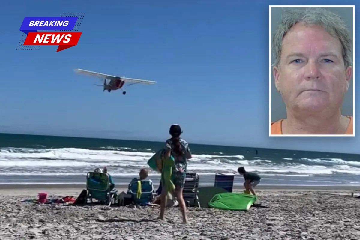 A pilot allegedly dive bombed a crowded South Carolina Beach 'Dove out of our beach chairs