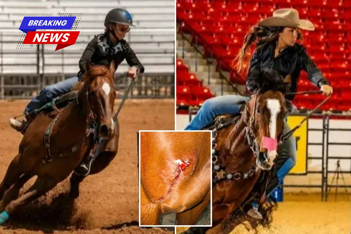 After brutally stabbing three horses at a race event, leaving blood pouring everywhere, a obsessive teenager girl was arrested