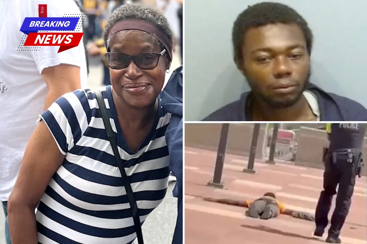 Heartbreaking first photos depict great-grandmother who was attacked on Atlanta MARTA train 'Nobody was assisting her'