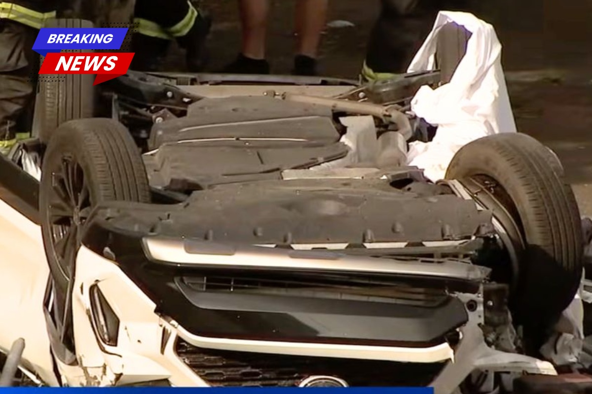 He's dead' Man seeing red after fighting with his mother takes 'rage out' on his Toyota RAV4, sending it soaring into other people, witnesses say