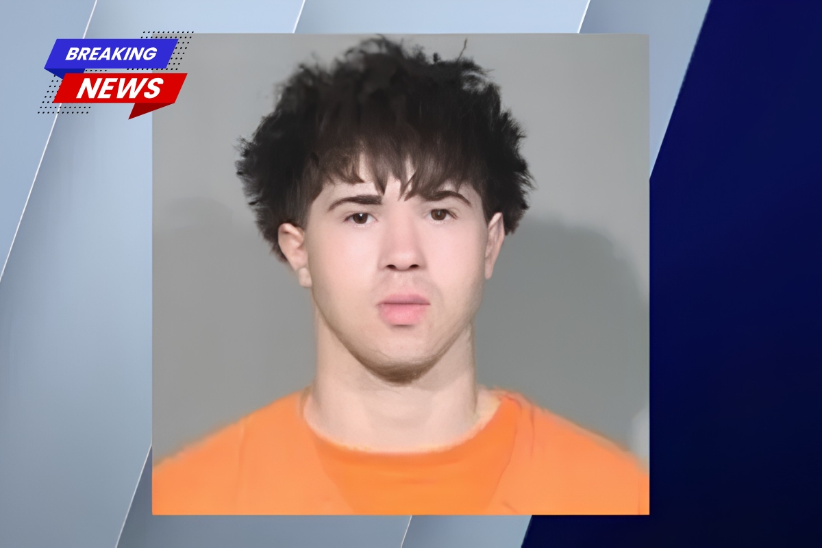 In a surprise 'unprovoked' attack, a teenager used a skateboard to beat a man in the head and face, according to prosecutors