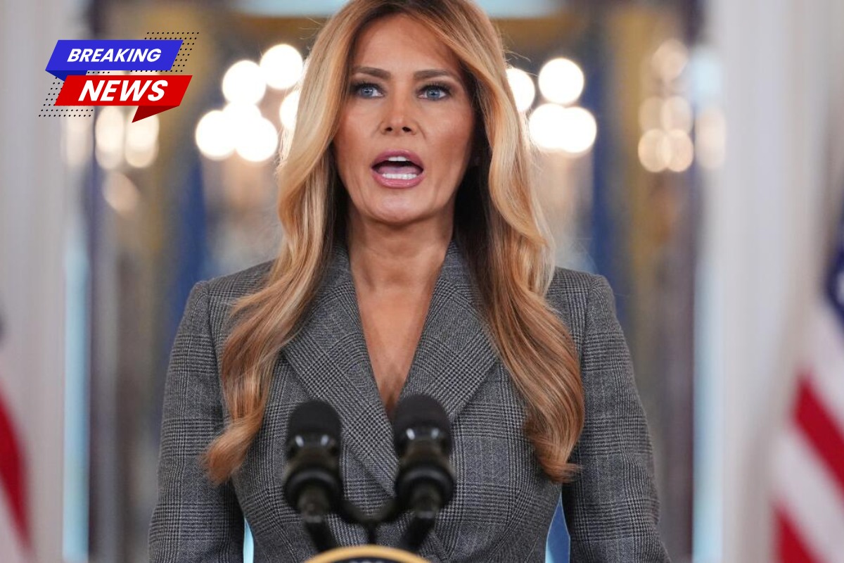 Melania Trump was a 'escort' for Jeffrey Epstein, claims the first lady's former associate