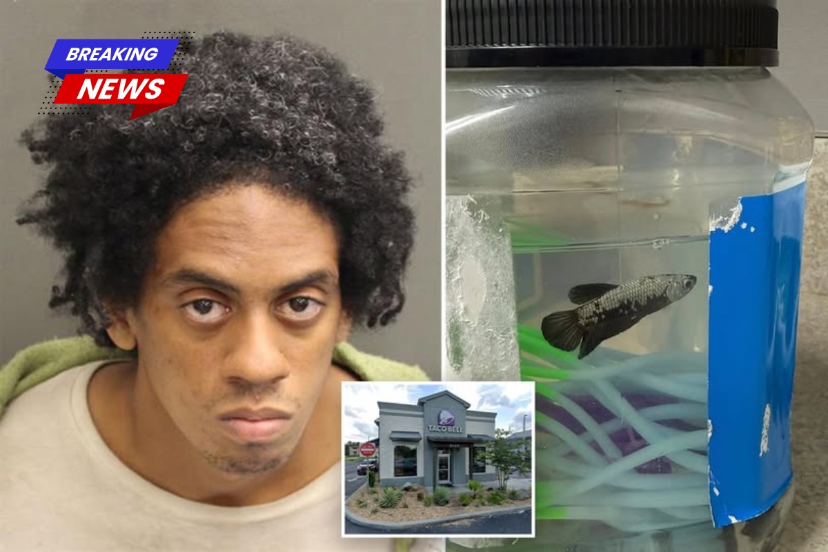 Outside the Florida Taco Bell, police catch a man carrying pet fish and exposing his chimichanga