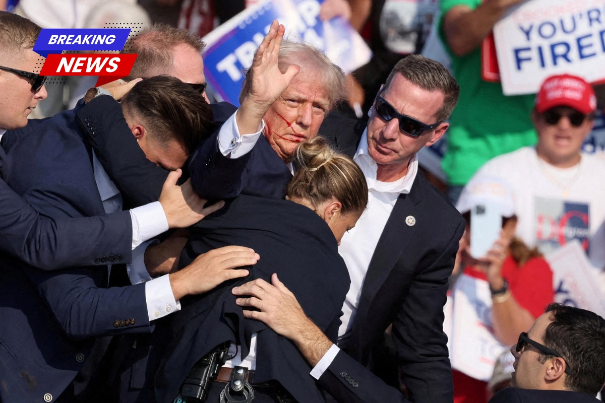 The execution shall begin Marine combat vet pledged to snipe Donald Trump with service rifle from 300 yards away, DA says