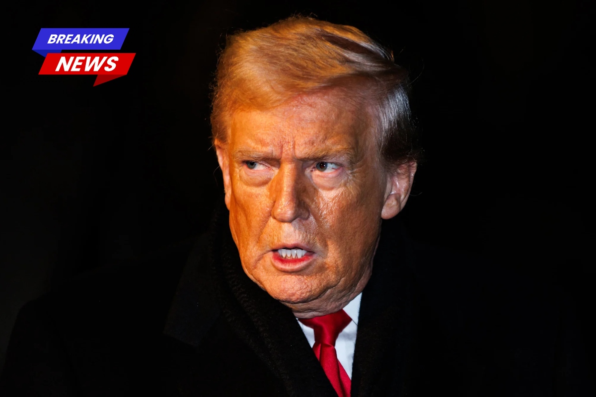 Trump's plan to strip citizenship from naturalised Americans faces legal and logistical challenges