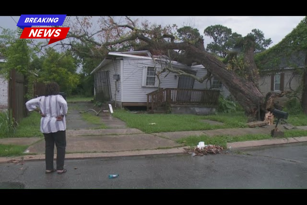 Woman screams for help after her New Orleans East home was crushed by a tree and subsequently plundered